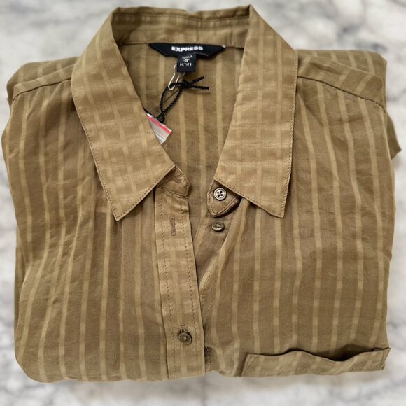 EXPRESS Long Sheer Stripe Shirt Dress – Green/Brown – Size M - NWT - Picture 1 of 3